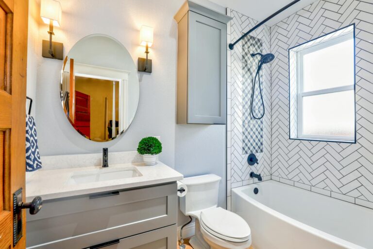 history of the modern toilet